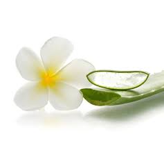 Black Castor Oil Leave In Hair Mist